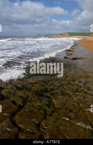 Lapiez entre West Bay et Burton Bradstock Côte Jurassique Dorset UK à marée basse Banque D'Images