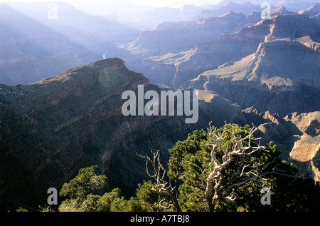 United States, Arizona, le Grand Canyon Banque D'Images
