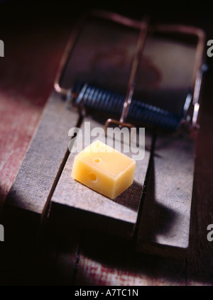 Morceau de fromage sur mousetrap Banque D'Images