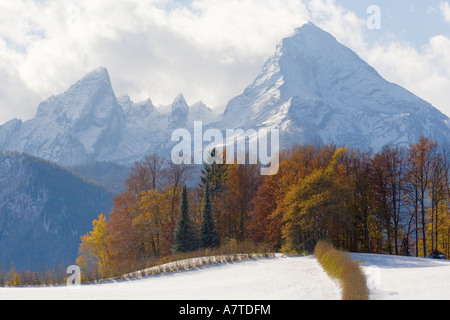 Arbres sur snowcovered landscape, Tm, Watzmann Ramsau, Bavière, Allemagne Banque D'Images