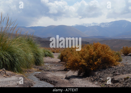 Scenic à côté de Machuca désert d'Atacama au Chili Banque D'Images