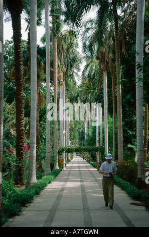 Personne qui marche sur le chemin de jardin botanique, Assouan, Egypte Banque D'Images