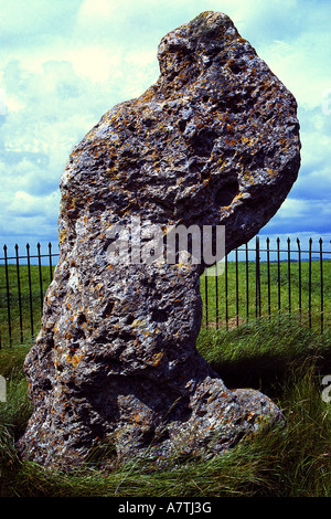 Pierre mégalithique dans la zone, la plaine de Salisbury, Wiltshire, Angleterre Banque D'Images