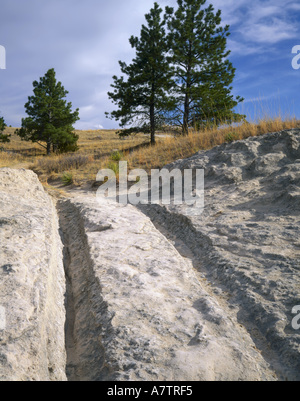 Le Wyoming. USA. Les ornières de chariot dans la roche le long de l'Oregon Trail près de Guernesey. Banque D'Images