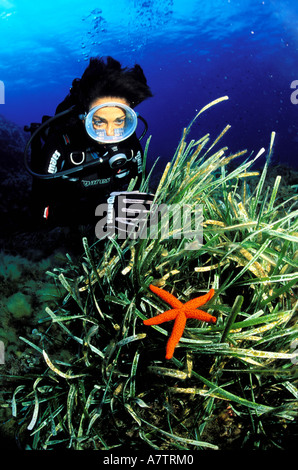 France, Corse du Sud, la vie cachée dans le lit d'herbes marines Banque D'Images