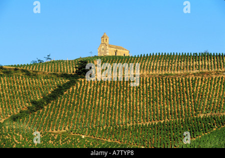 France, Rhône, Beaujolais, chapelle de la madone à Fleurie Banque D'Images