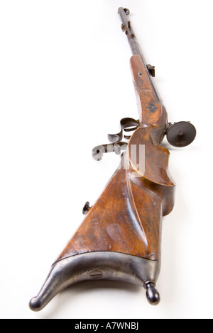 Werndl gun 1876 9mm Banque D'Images