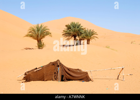 Les nomades éleveurs de tente avec des palmiers dans sanddune Erg Chebbi Merzouga Maroc Banque D'Images