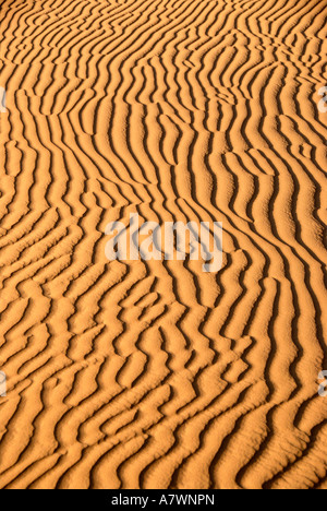 Sable ondulé Erg Chebbi Merzouga Maroc Banque D'Images