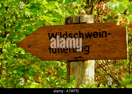 Inscription 'Wild-schweinfuetterung' (les sangliers de l'alimentation) Banque D'Images