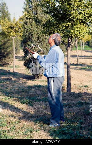 BEIJING CHINE Personnes Âgées Chinese man sitting citoyens âgés recueillir tôt dans la matinée dans le parc du Temple du Ciel à voler Banque D'Images