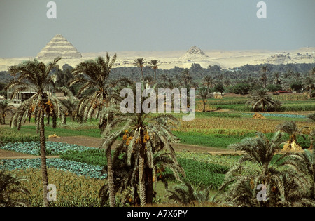 Égypte, Ancien Empire, sciences de l'agriculture avec Djoser, conçu par vizir et architecte Imhotep Banque D'Images