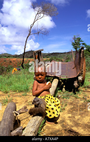 L'Afrique, Madagascar, Ambilobe. Jeune garçon de Sanford a lemur brun comme animal (Eulemur fulvus) sandfordi Banque D'Images