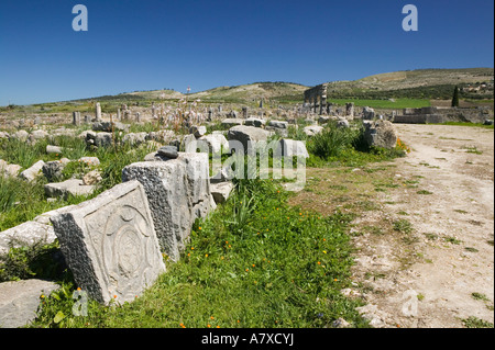 Le MAROC, Volubilis. Ville romaine datant pour la plupart de 2e & 3e c ad/ abandonnées par les Romains en 280 AD Banque D'Images