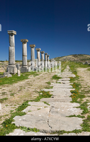 Le MAROC, Volubilis. Ville romaine datant pour la plupart de 2e & 3e c ad/ abandonnées par les Romains en 280 AD Banque D'Images