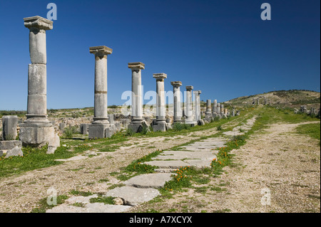 Le MAROC, Volubilis. Ville romaine datant pour la plupart de 2e & 3e c ad/ abandonnées par les Romains en 280 AD Banque D'Images