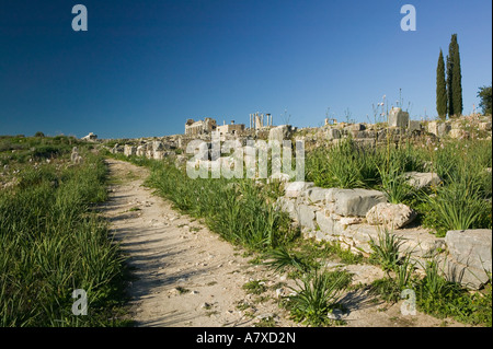 Le MAROC, Volubilis : Ville romaine datant pour la plupart de 2e & 3e ch. AD/ abandonné par les Romains en 280 AD Banque D'Images