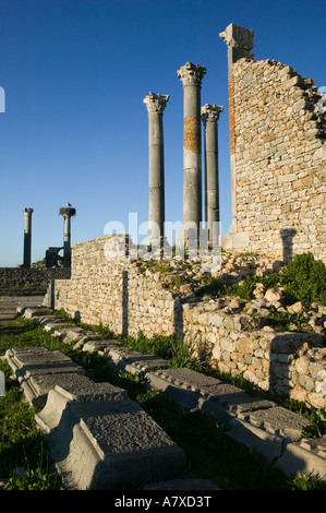 Le MAROC, Volubilis : Ville romaine datant pour la plupart de 2e & 3e ch. AD/ abandonné par les Romains en 280 colonnes AD Capitol Area Banque D'Images