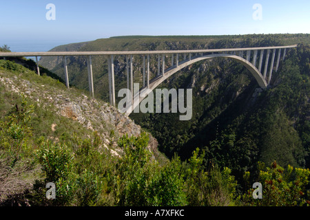 La rivière Bloukrans Bridge le long de la Garden Route en Afrique du Sud. C'est le plus haut saut à l'commerciale dans le monde (216m). Banque D'Images