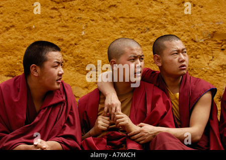 Les moines du monastère de Songzhanling. Zhongdian. La préfecture autonome tibétaine de Xian de dêqên. La province du Yunnan. Chine Banque D'Images