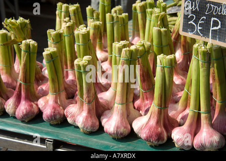 Écran brillant de l'ail rose dans le marché hebdomadaire de Moissac Banque D'Images