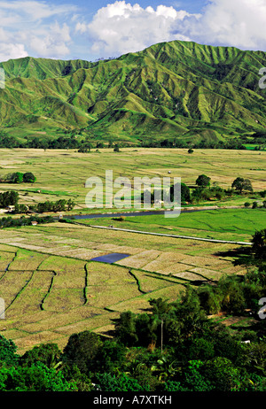 L'Asie, Philippines, Nueva Vizcaya, Province Aritao. Les rizières couvrent Aritao Valley dans Central Luzon Banque D'Images