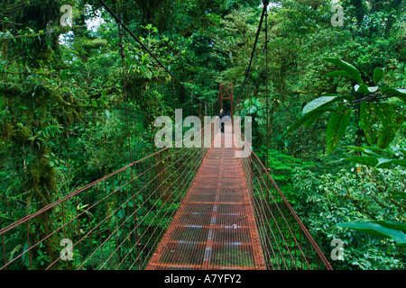 Passerelle pont suspendu avec guide à la recherche à des arbres dans la Forêt Nuageuse de Monteverde au Costa Rica République d'Amérique centrale Banque D'Images