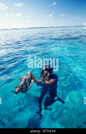 France, France, atoll de Manihi, sous-marin pêcheur et son poisson, une lagune groupeur Banque D'Images