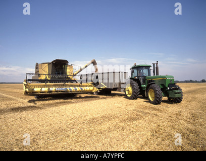 Agriculture Agriculture moissonneuse-batteuse chaume le déchargement du grain dans la trémie de la remorque d'un tracteur John Deere attend de se déplacer hors tension de charge domaine Essex England UK Banque D'Images
