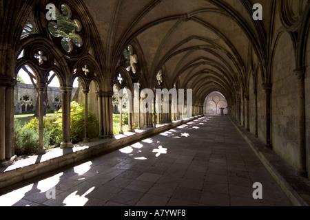 Intérieur de la cathédrale de Salisbury Wiltshire Angleterre Cloisters Banque D'Images