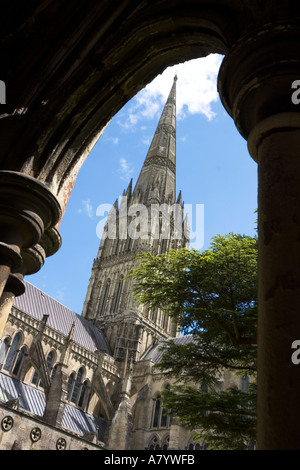 La cathédrale de Salisbury spire du cloître, Wiltshire l'Angleterre Banque D'Images