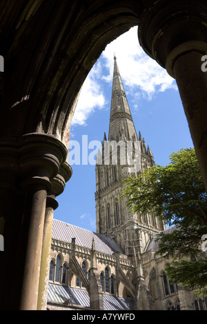 La cathédrale de Salisbury spire du cloître, Wiltshire l'Angleterre Banque D'Images