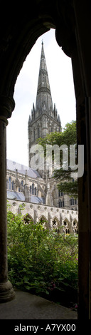 La cathédrale de Salisbury spire du cloître Banque D'Images