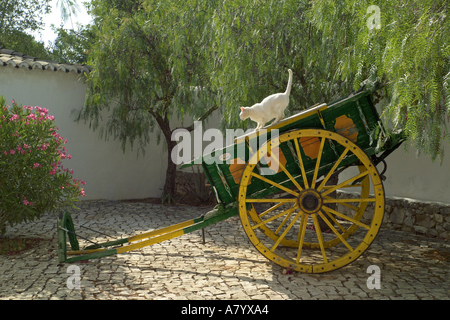 Algarve, panier rustique & Cat Banque D'Images