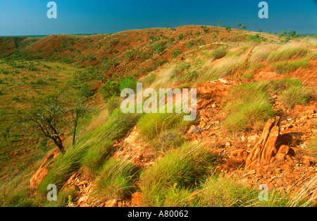 L'AUSTRALIE L'Australie occidentale le cratère WOLFE CREEK NATIONAL PARK Les mondes deuxième plus grand cratère de météorite situé à l'intérieur de l'uo Banque D'Images