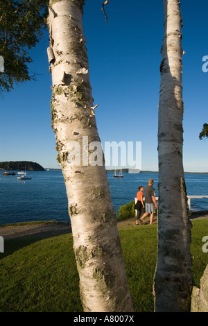 La Baie Frenchman vus de la rive chemin dans Bar Harbor Maine USA Banque D'Images