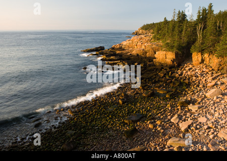 Tôt le matin sur le rebord de granit rose de la côte rocheuse du Maine dans l'Acadia National Park. Otter falaises sont dans la distance Banque D'Images