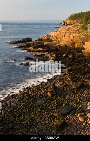 Tôt le matin sur le rebord de granit rose de la côte rocheuse du Maine dans l'Acadia National Park. Otter falaises sont dans la distance Banque D'Images