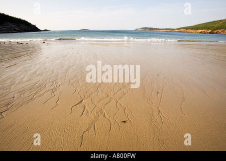 Plage de sable fin dans le centre de l'Acadia National Park. Banque D'Images