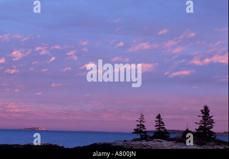 Southport Island, moi. Les épinettes silhouetté contre le Ciel de coucher du soleil à l'extrémité sud de l'île de Southport. Boothbay Harbor Banque D'Images