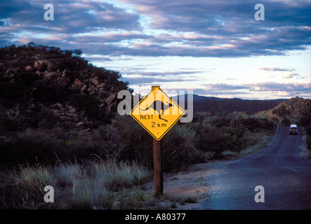 Road sign warning de kangourous en Australie centrale Banque D'Images