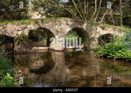 Pack de vieux pont de chevaux dans les ruines de l'abbaye de Walsingham et ancien prieuré, motifs peu Walsingham, North Norfolk, Angleterre 2007. Banque D'Images