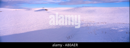 NA, USA, WA, Colfax, la neige sur le champ de blé Banque D'Images