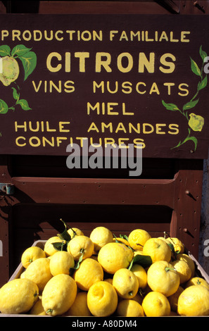 France, Haute Corse, citron vente à San Antoninu village (Balagne) Banque D'Images