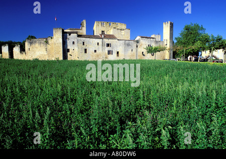 France, Gers, Larressingle village, intitulée Les Plus Beaux Villages de France (Les Plus Beaux Villages de France) Banque D'Images