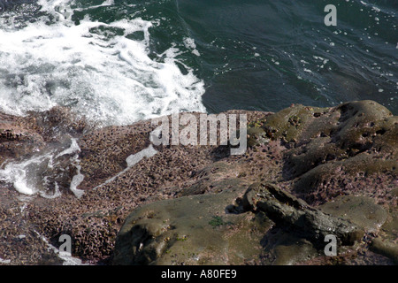 Rochers sur la plage Banque D'Images