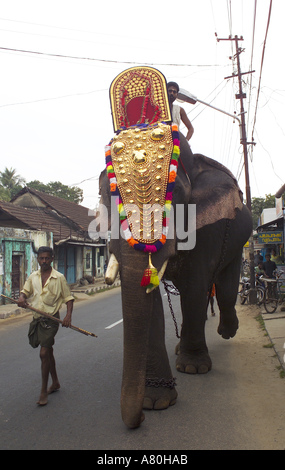 Kerala, Cochin, décoré Elephant Banque D'Images