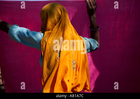 Femme en orange à traîner un sari dans le Rajasthan en Inde Banque D'Images