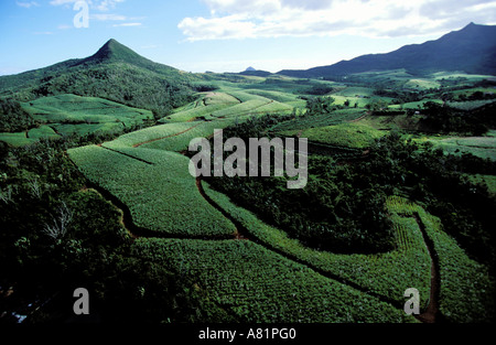 L'Île Maurice, Côte orientale du sud, Domaine du Chasseur, des champs de canne à sucre (vue aérienne) Banque D'Images
