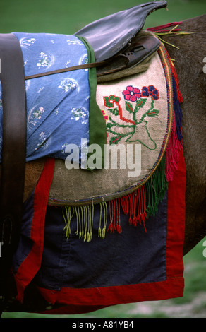 L'Azad Cachemire Pakistan Gilgit polo sport brodé détail selle poney Banque D'Images